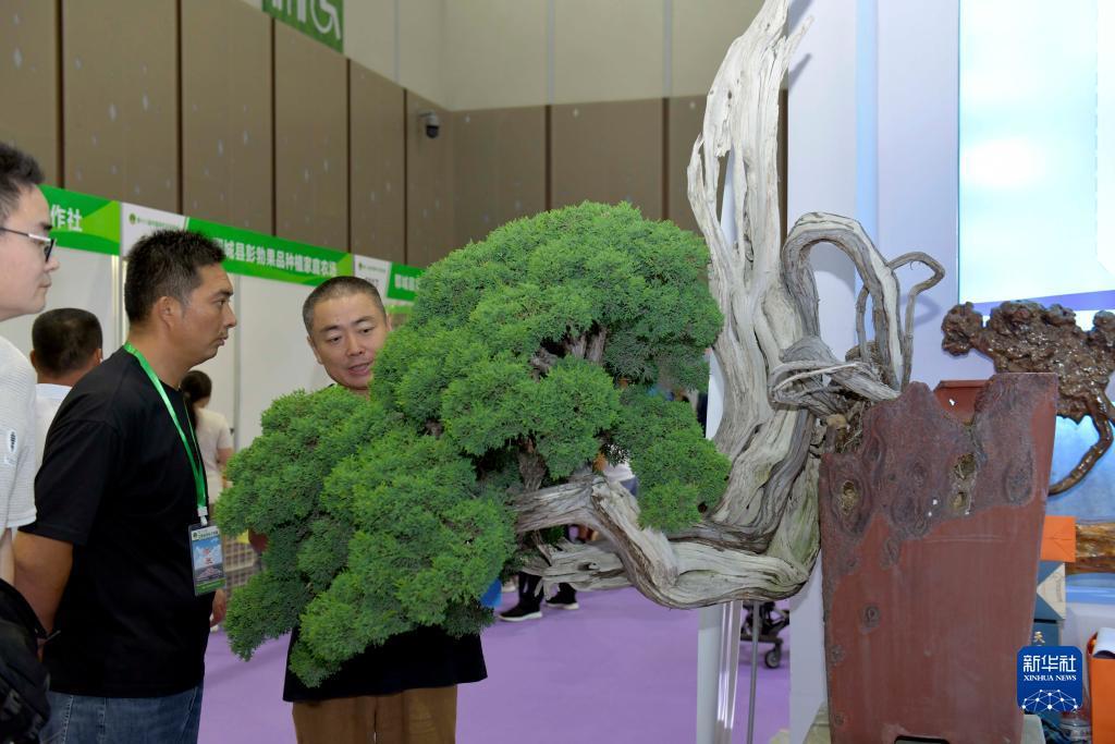 乐虎国际电子游戏官网
